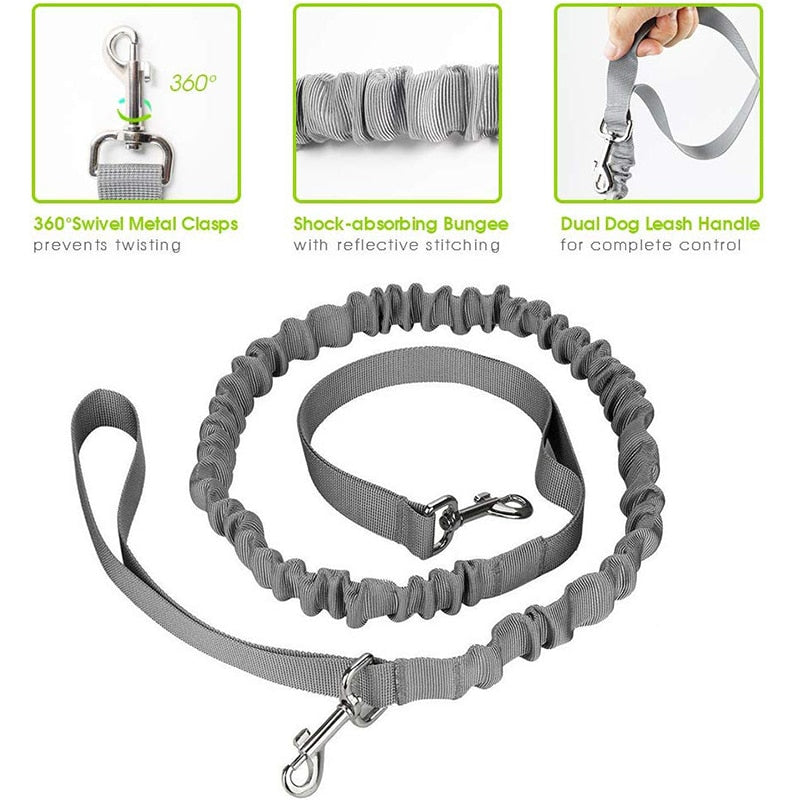 Leash Reflective waist belt with 2 pockets