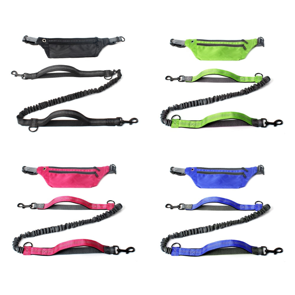 Leash Hands Free Bungee belt with pocket