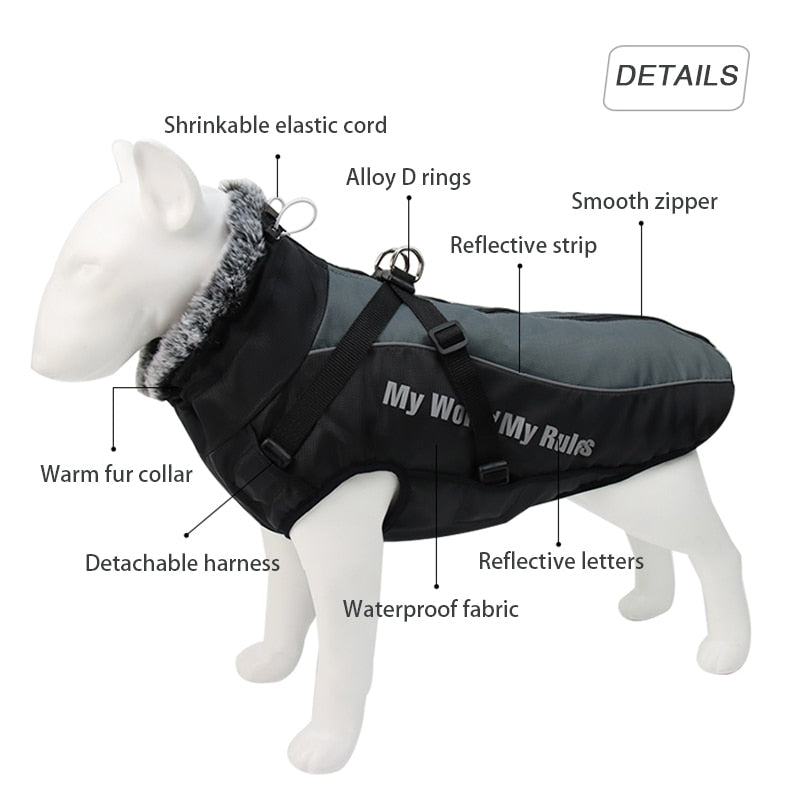 Winter Jacket with Fur Neck for Large Dogs