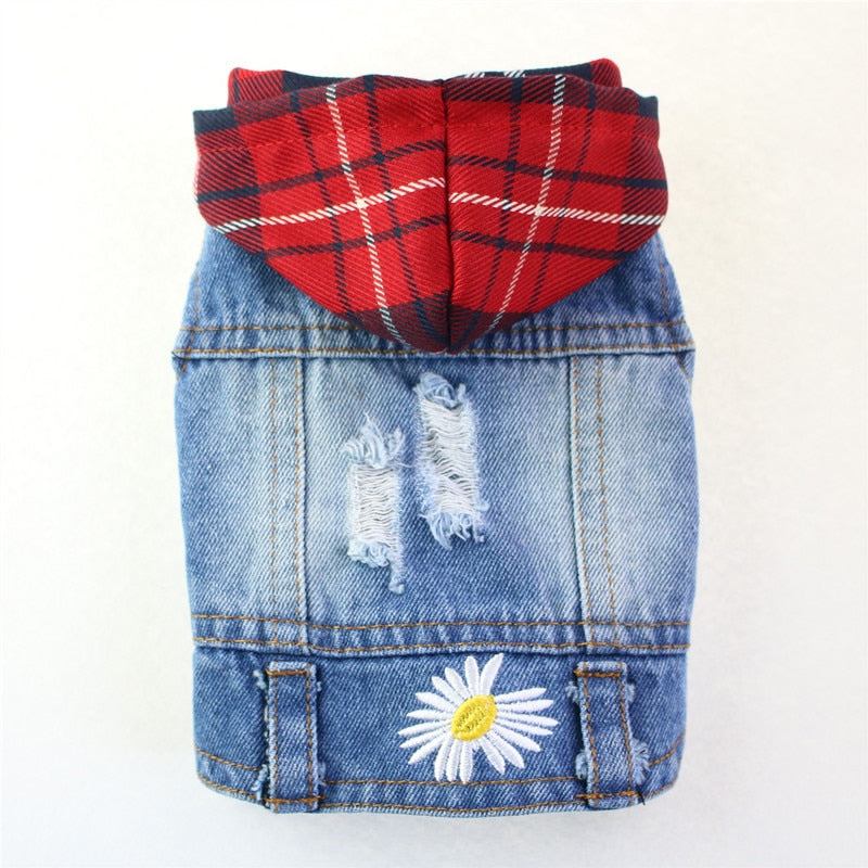 Jean Jacket Miss Doggy