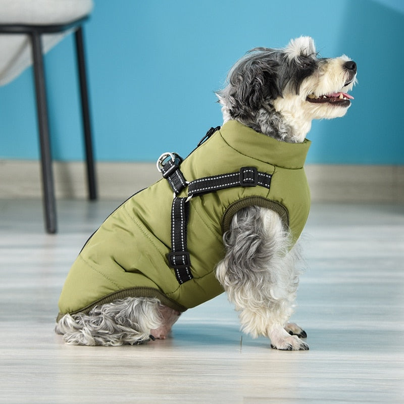 Winter Jacket and sweater