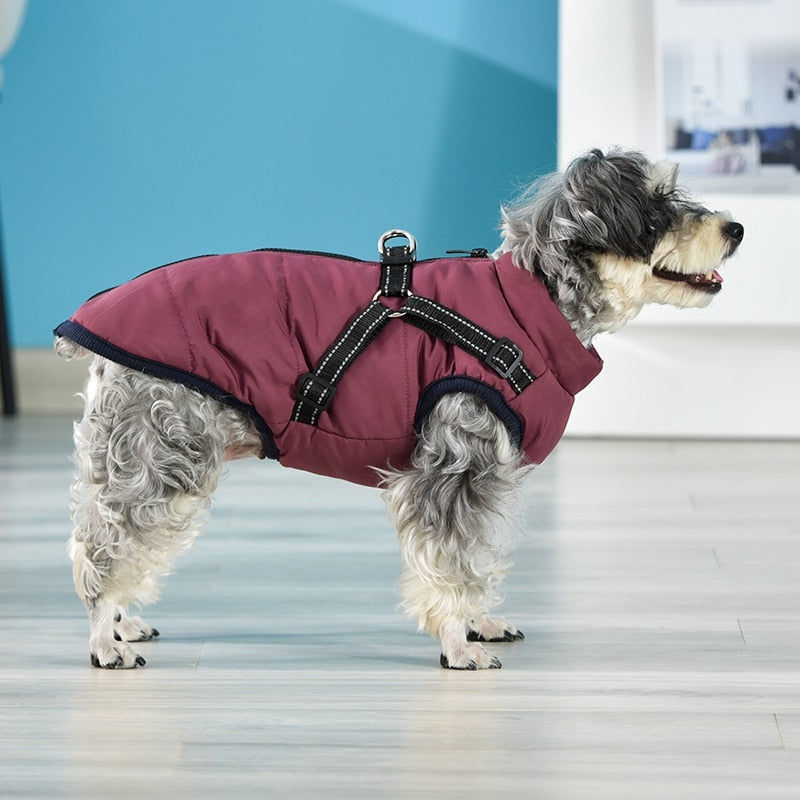Winter Jacket and sweater