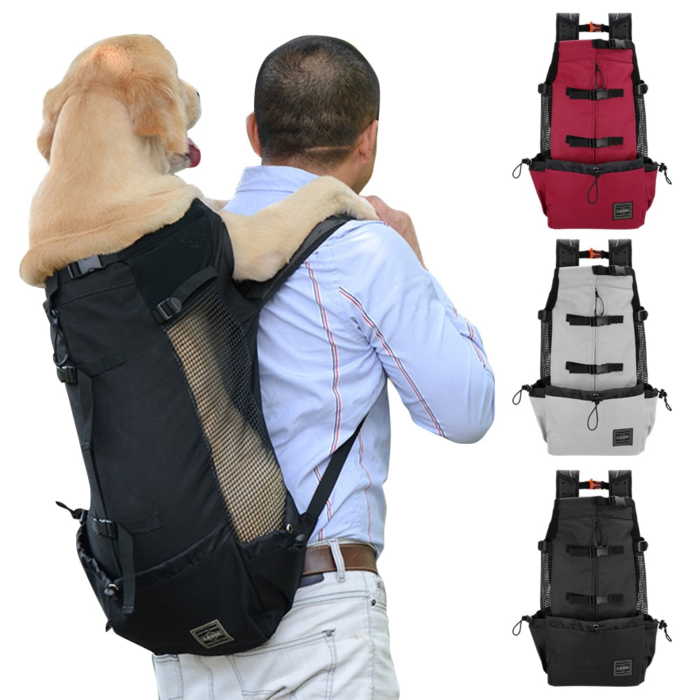 Backpack carrier for dogs