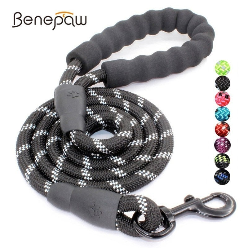 Leash Reflective Nylon Rope 5ft