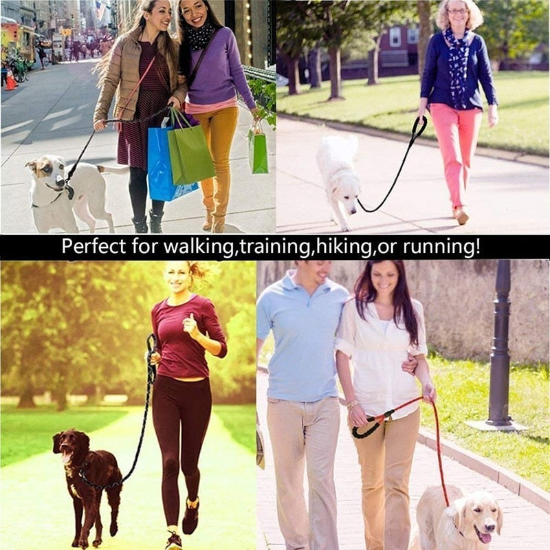 Leash Reflective Nylon Rope 5ft