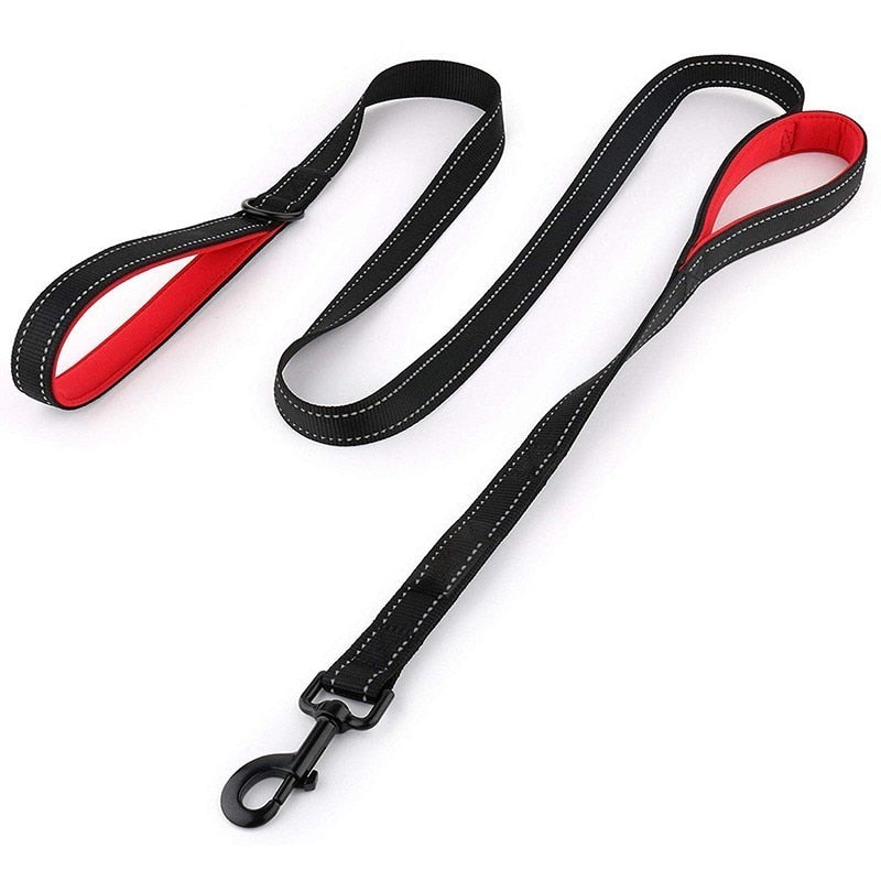 Leash two handle reflective