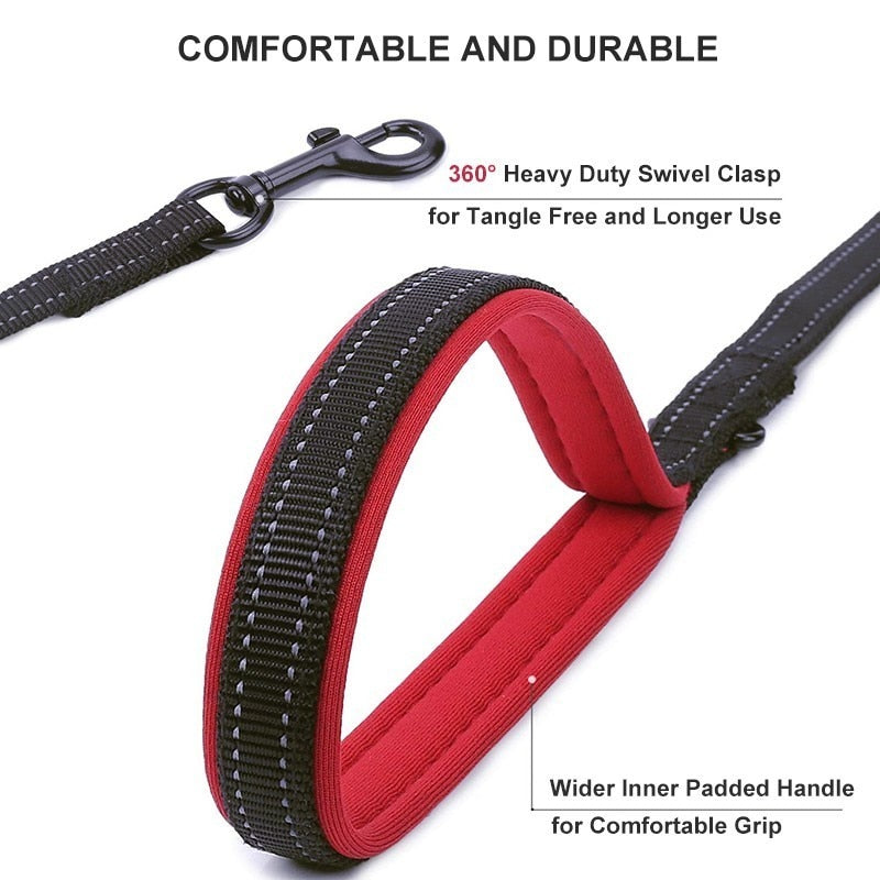 Leash two handle reflective