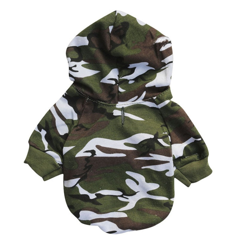 Hoodie Graphic Design