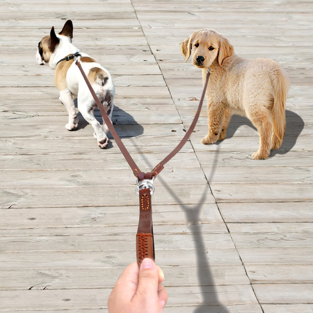 Leash Leather 2 Way with Handle