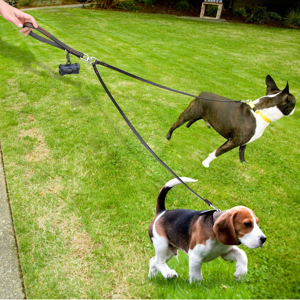 Leash Leather 2 Way with Handle
