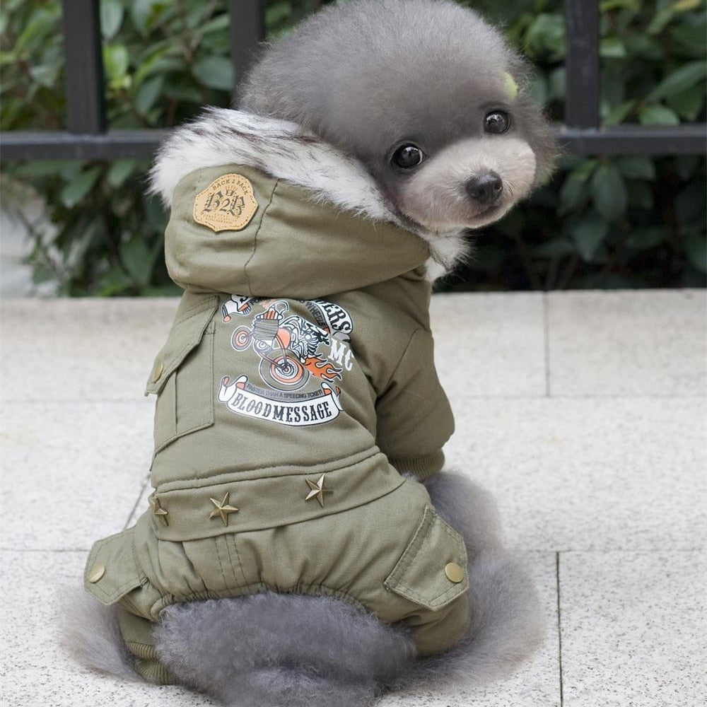 Winter snowsuit with Fur Hood for small dogs