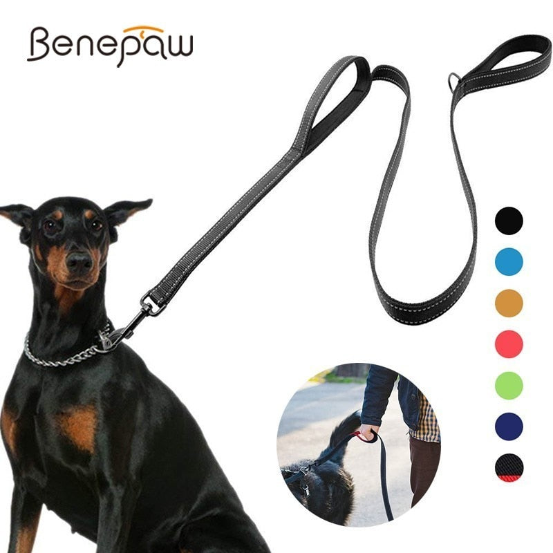 Leash two handle reflective