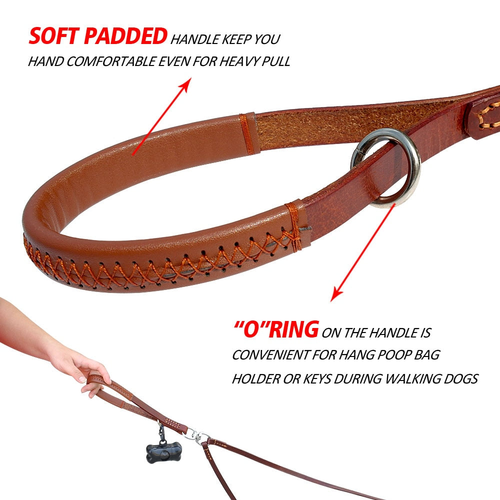 Leash Leather 2 Way with Handle