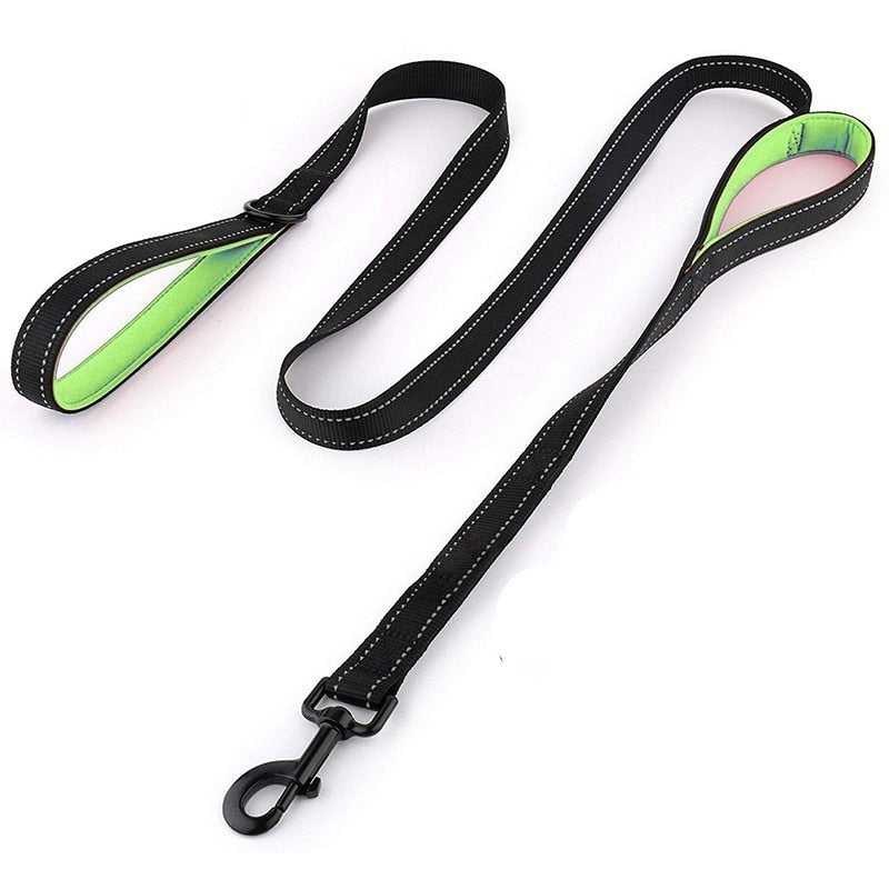 Leash two handle reflective