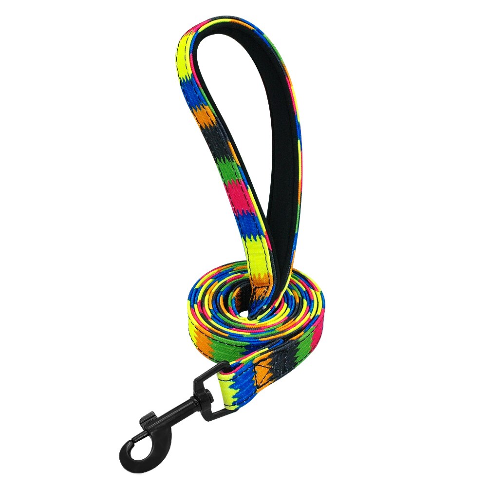 Leash padded handle nylon 4ft