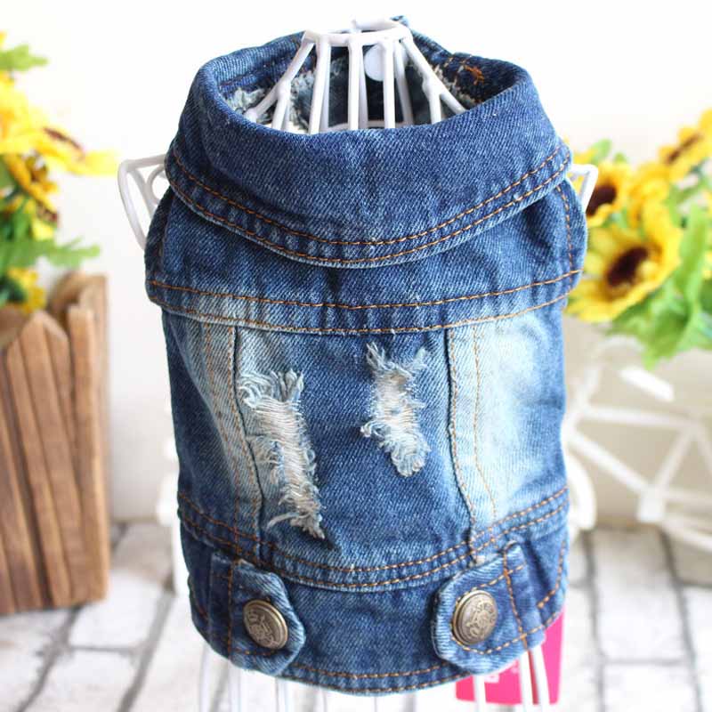 Jean Jacket Miss Doggy