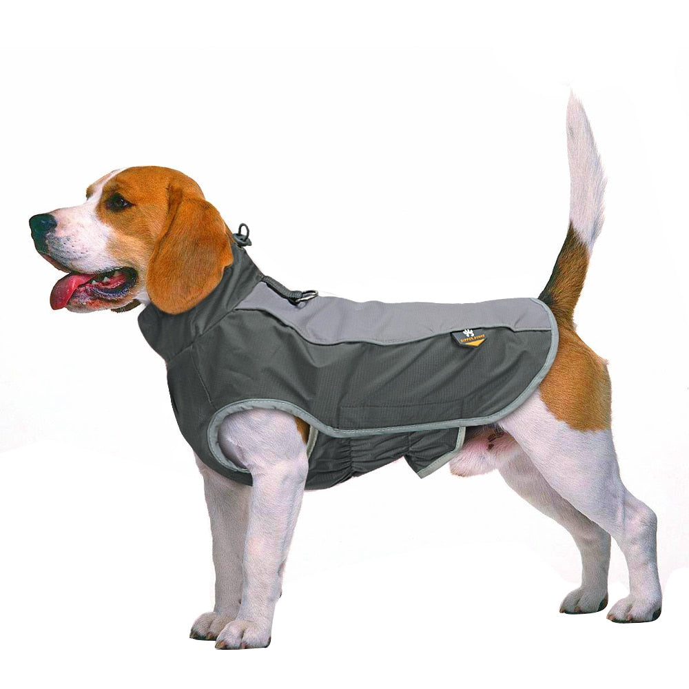 Winter Reflective sports coat