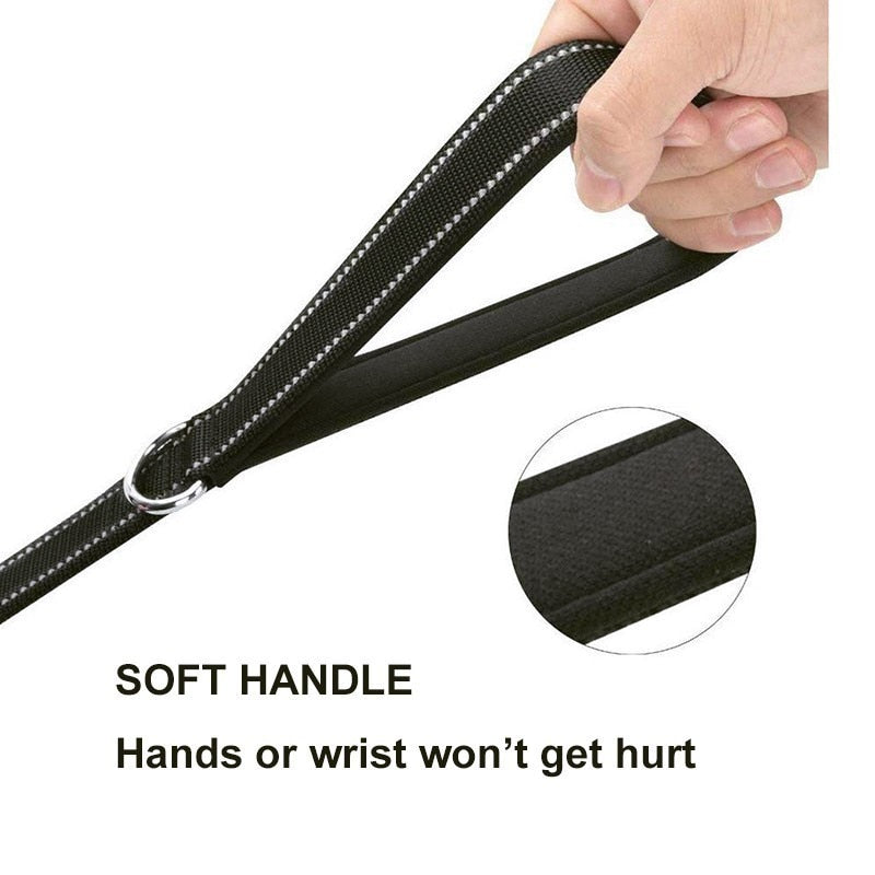 Leash two handle reflective