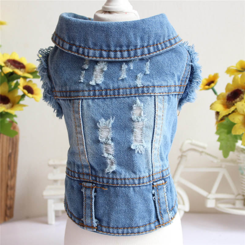Jean Jacket Miss Doggy