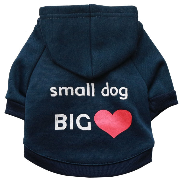 Hoodie Graphic Design