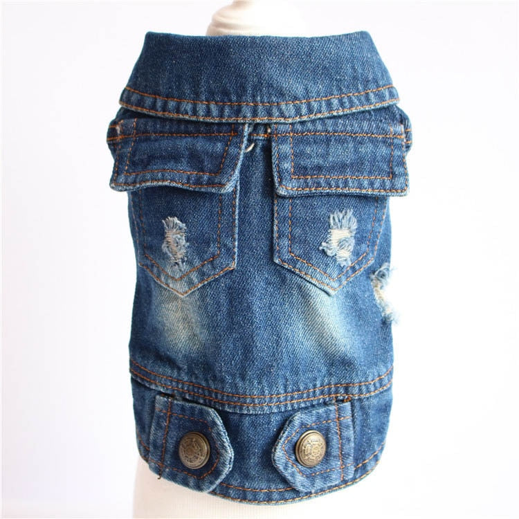 Jean Jacket Miss Doggy
