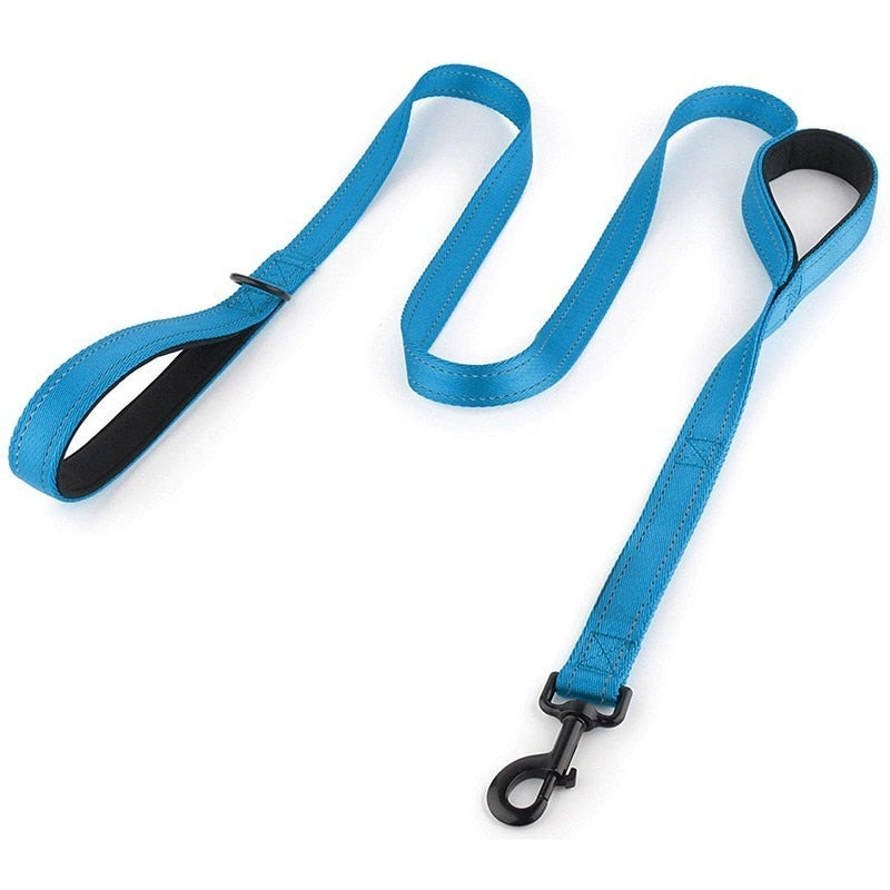 Leash two handle reflective
