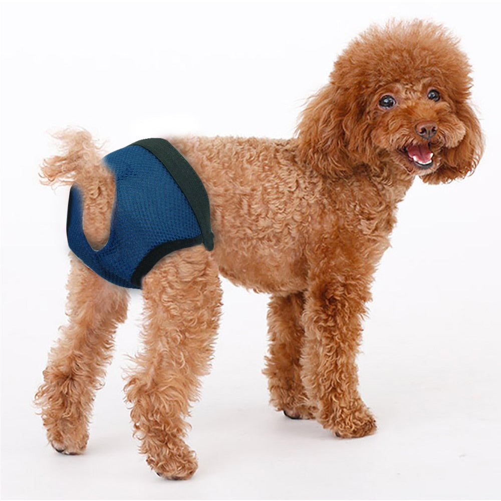 Female Diaper S, M, L Sized