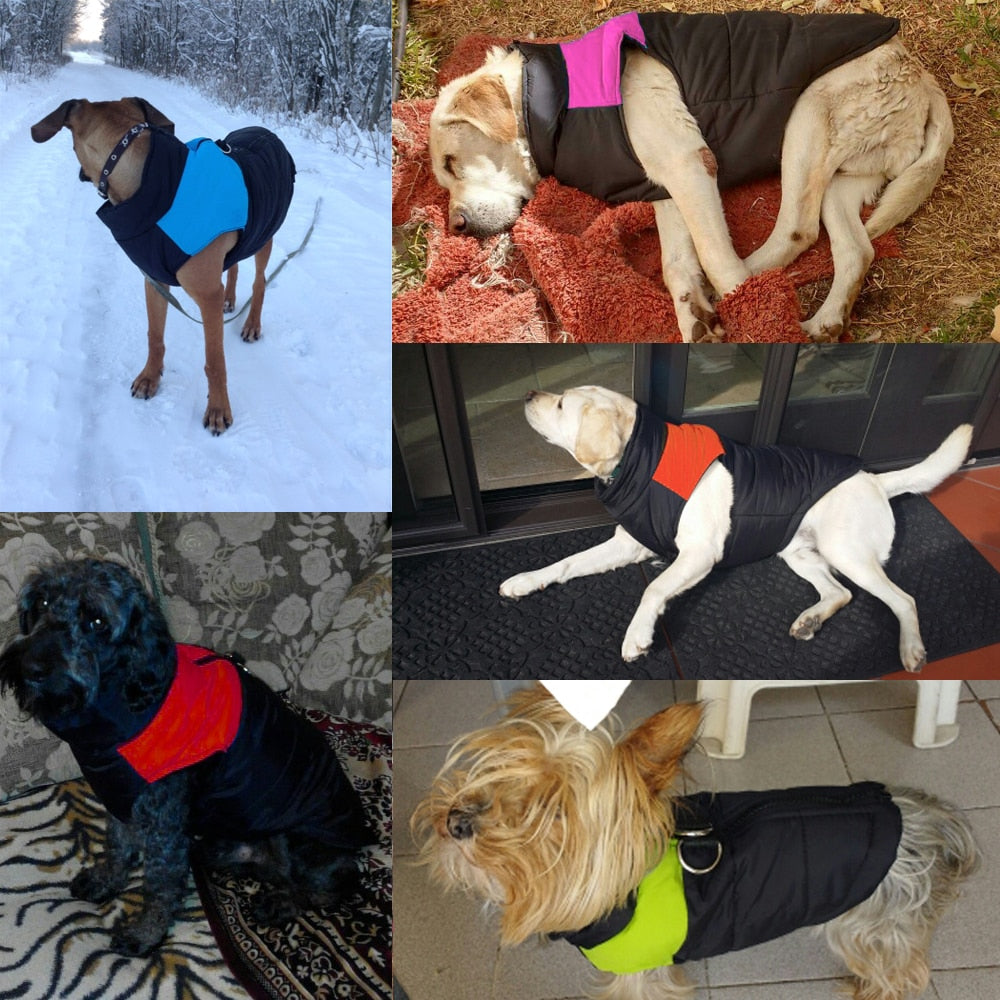 Winter Puffy Coat S-5XL