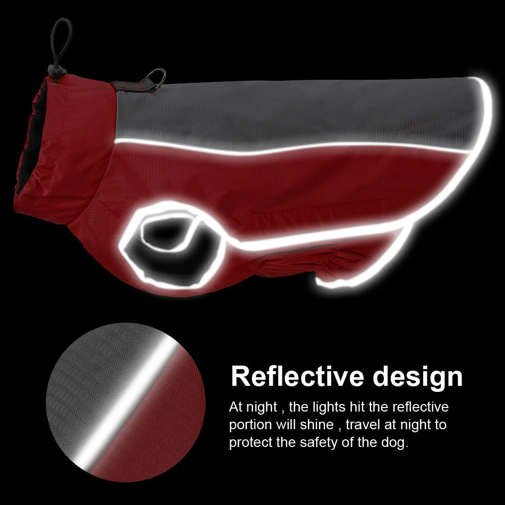 Winter Reflective sports coat