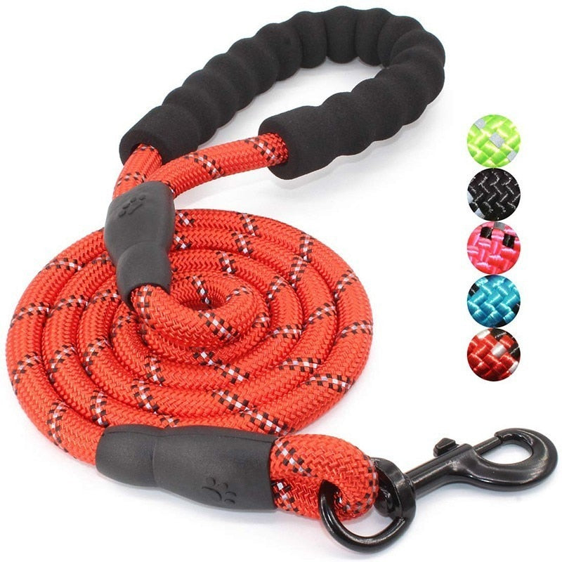 Leash Reflective Nylon Rope 5ft