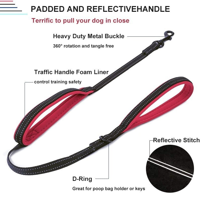 Leash two handle reflective