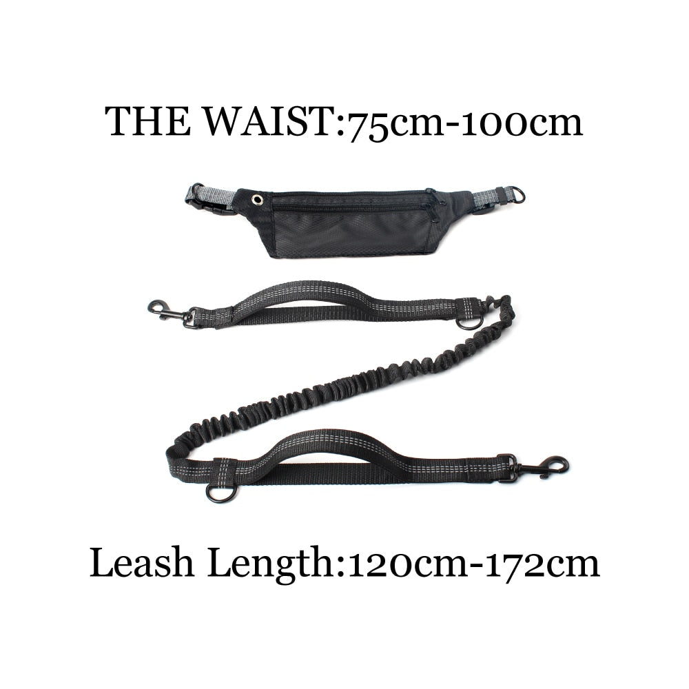 Leash Hands Free Bungee belt with pocket