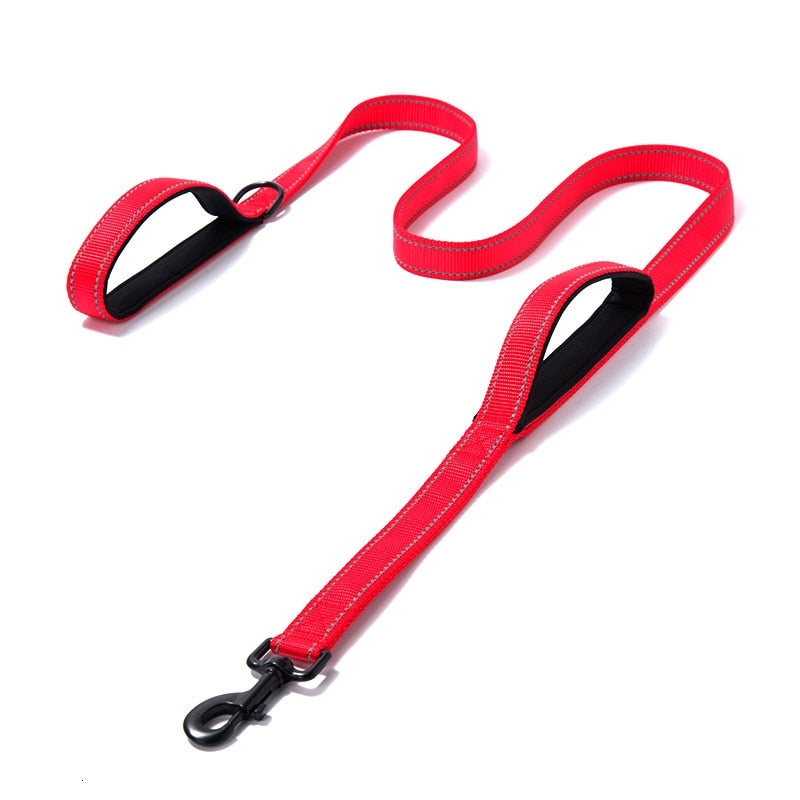 Leash two handle reflective