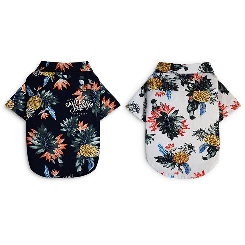 Wicked Awesome Summer Shirts