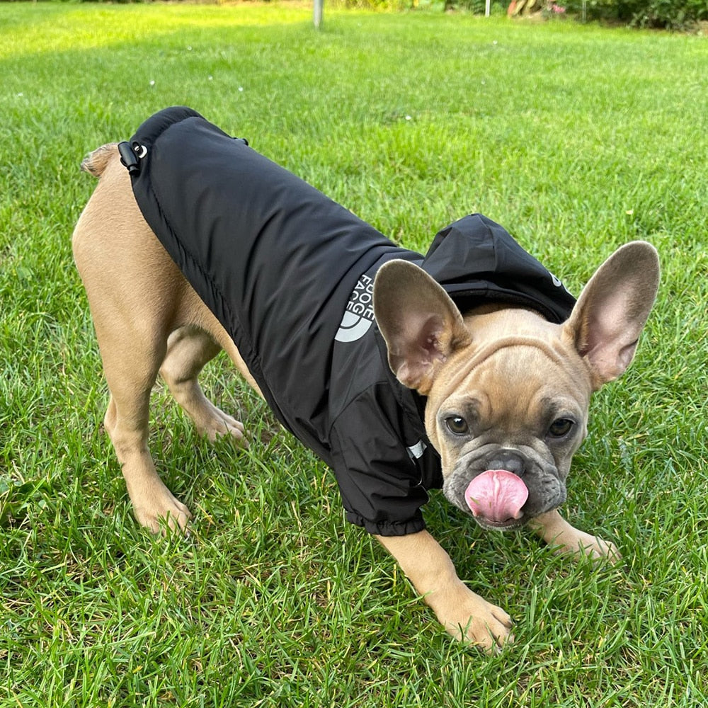 Winter Reflective Waterproof The Dog Face