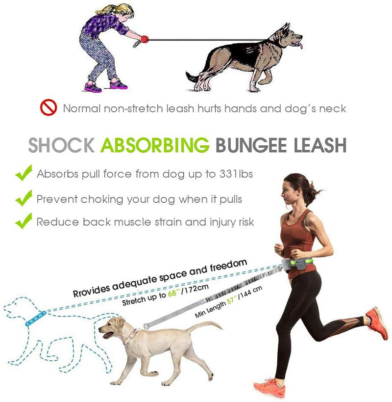 Leash Reflective waist belt with 2 pockets