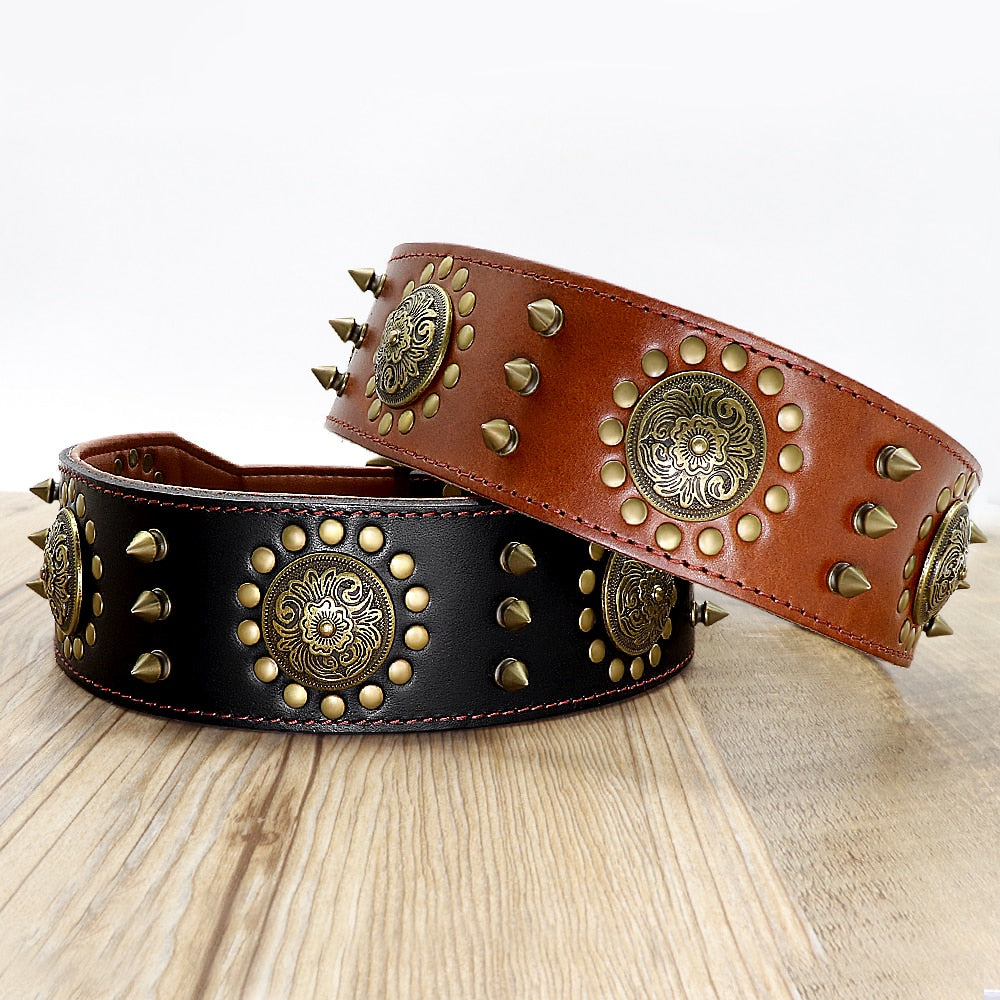 Collar Studded leather L/XL