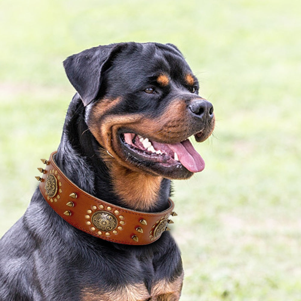 Collar Studded leather L/XL