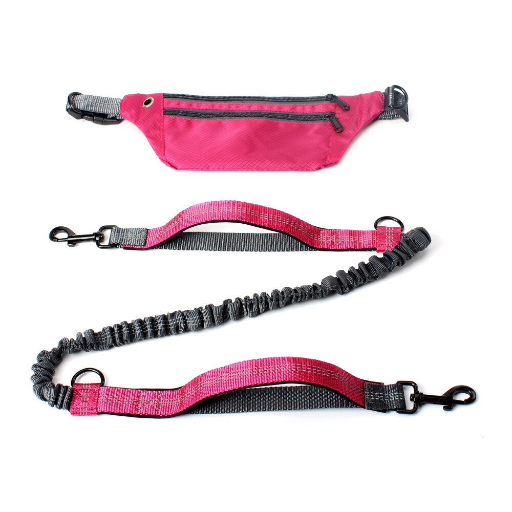 Leash Hands Free Bungee belt with pocket