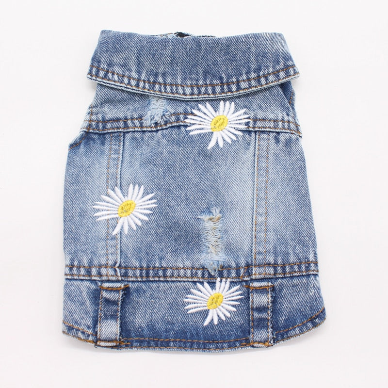 Jean Jacket Miss Doggy
