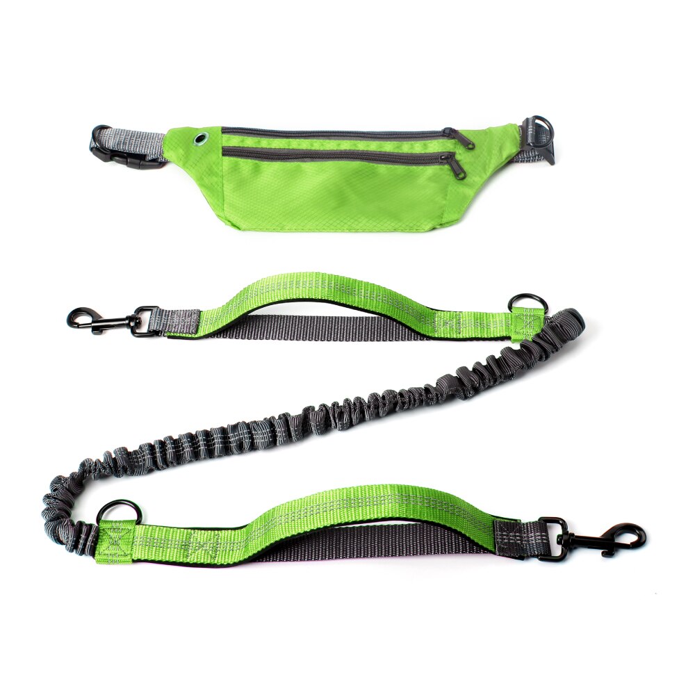 Leash Hands Free Bungee belt with pocket