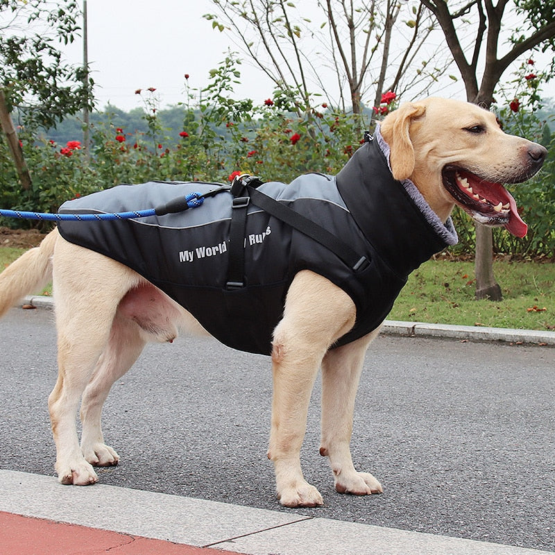 Winter Jacket for Large dogs