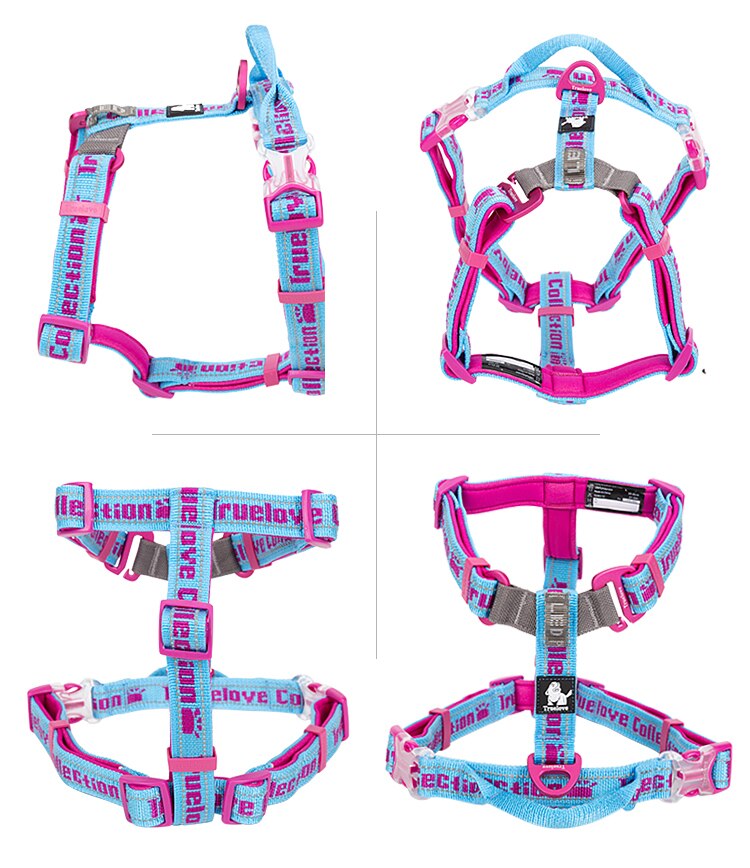 Harness Basic Collection TRUELOVE