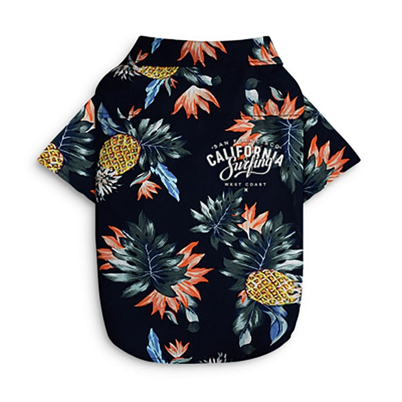 Wicked Awesome Summer Shirts