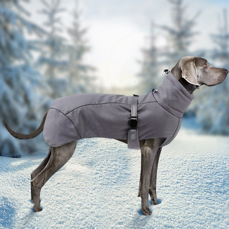 Winter warm coat covers hips