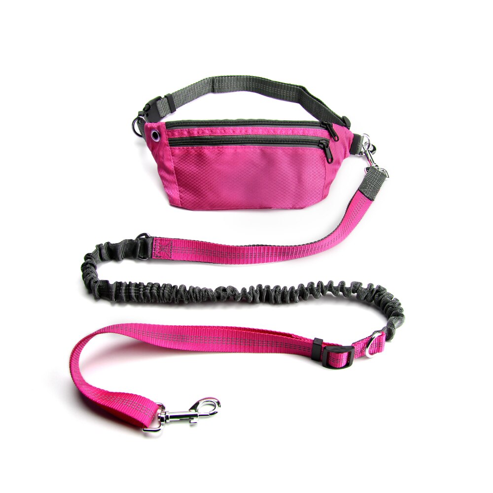 Leash Hands Free Bungee belt with pocket