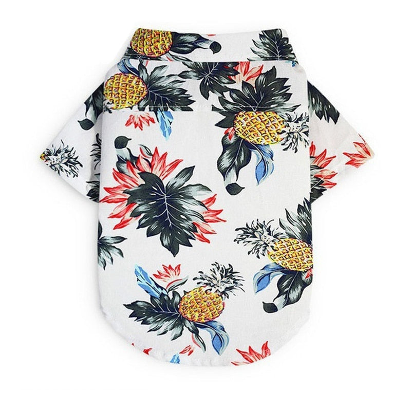 Wicked Awesome Summer Shirts