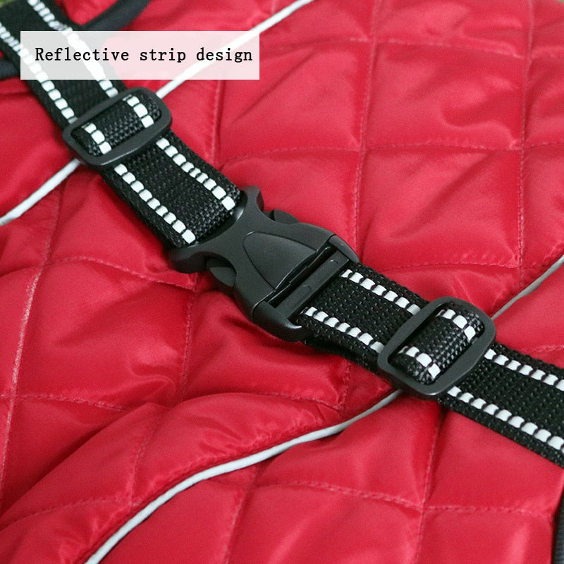 Winter Down Jacket Water and WindProof XS-XL