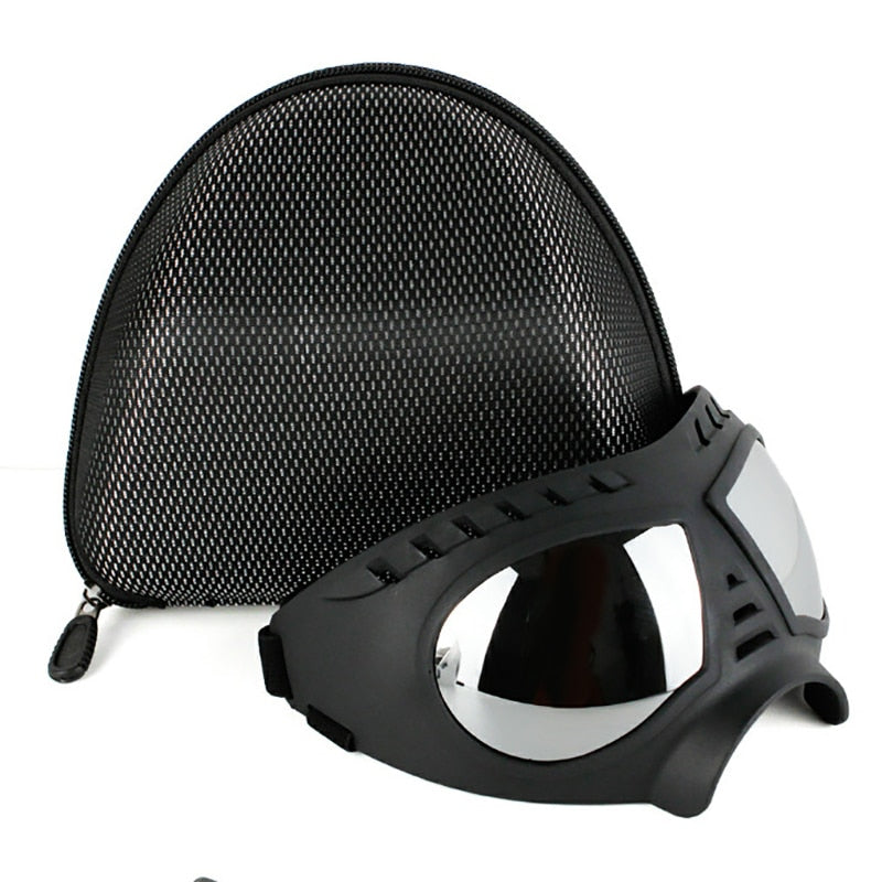Cool Dog Sunglasses