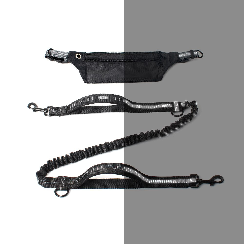 Leash Hands Free Bungee belt with pocket